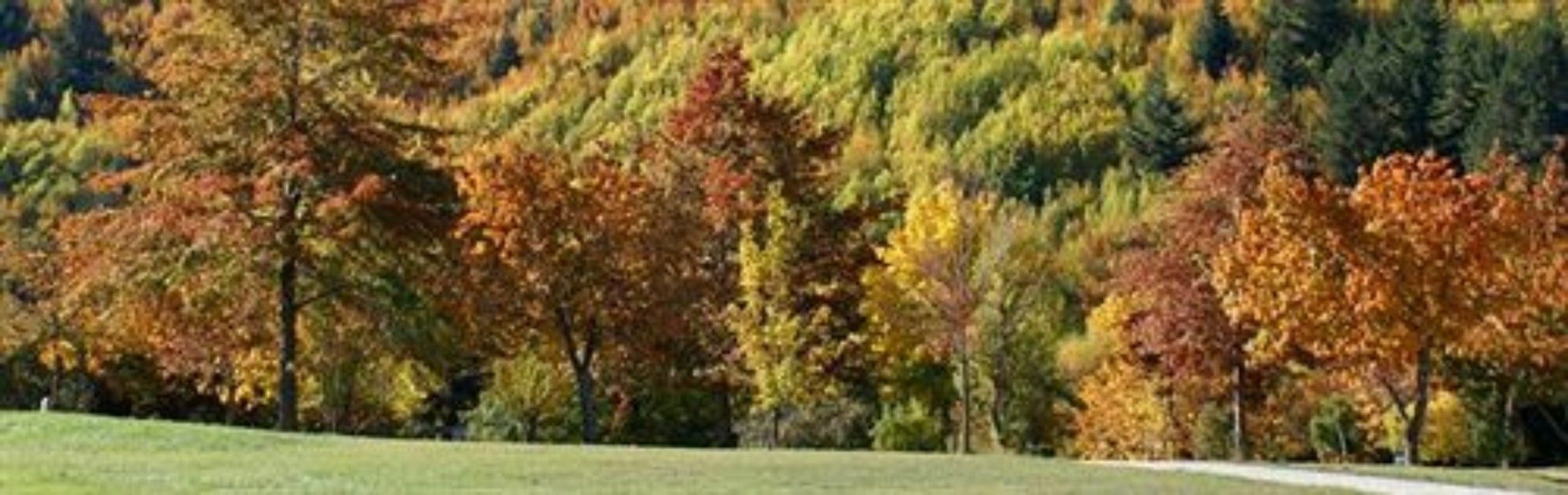 Hampshire Holiday Parks - Эрроутаун Экстерьер фото